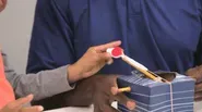 Exploring Gravity with a Catapult