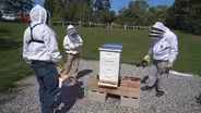 Beekeeping - Web Extra
