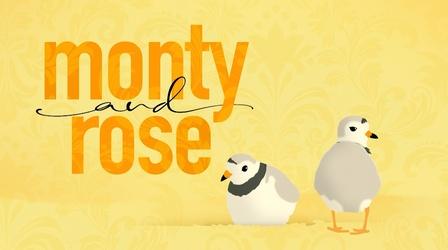 Video thumbnail: DPTV Specials Monty and Rose 2