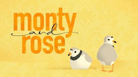 Video thumbnail: DPTV Specials Monty and Rose 2