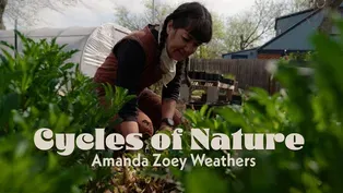 Cycles of Nature: Amanda Zoey Weathers