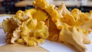 Chanterelles | Superabundant