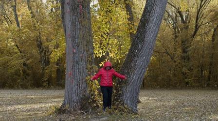 Video thumbnail: Homegrown: Future Visions A Nurse from China Strives to Live in Iowa