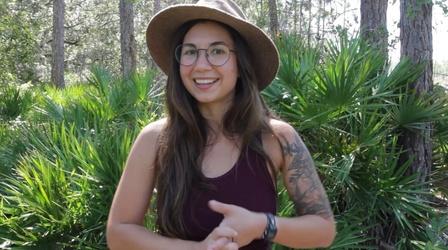 Video thumbnail: Local Routes New Ecology Blogger a Researcher, Artist, and Communicator