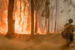 With rise in wildfires, prescribed burns may be a solution