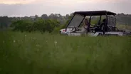 For the Love of the Land