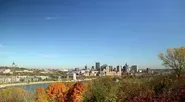 The Larger Picture