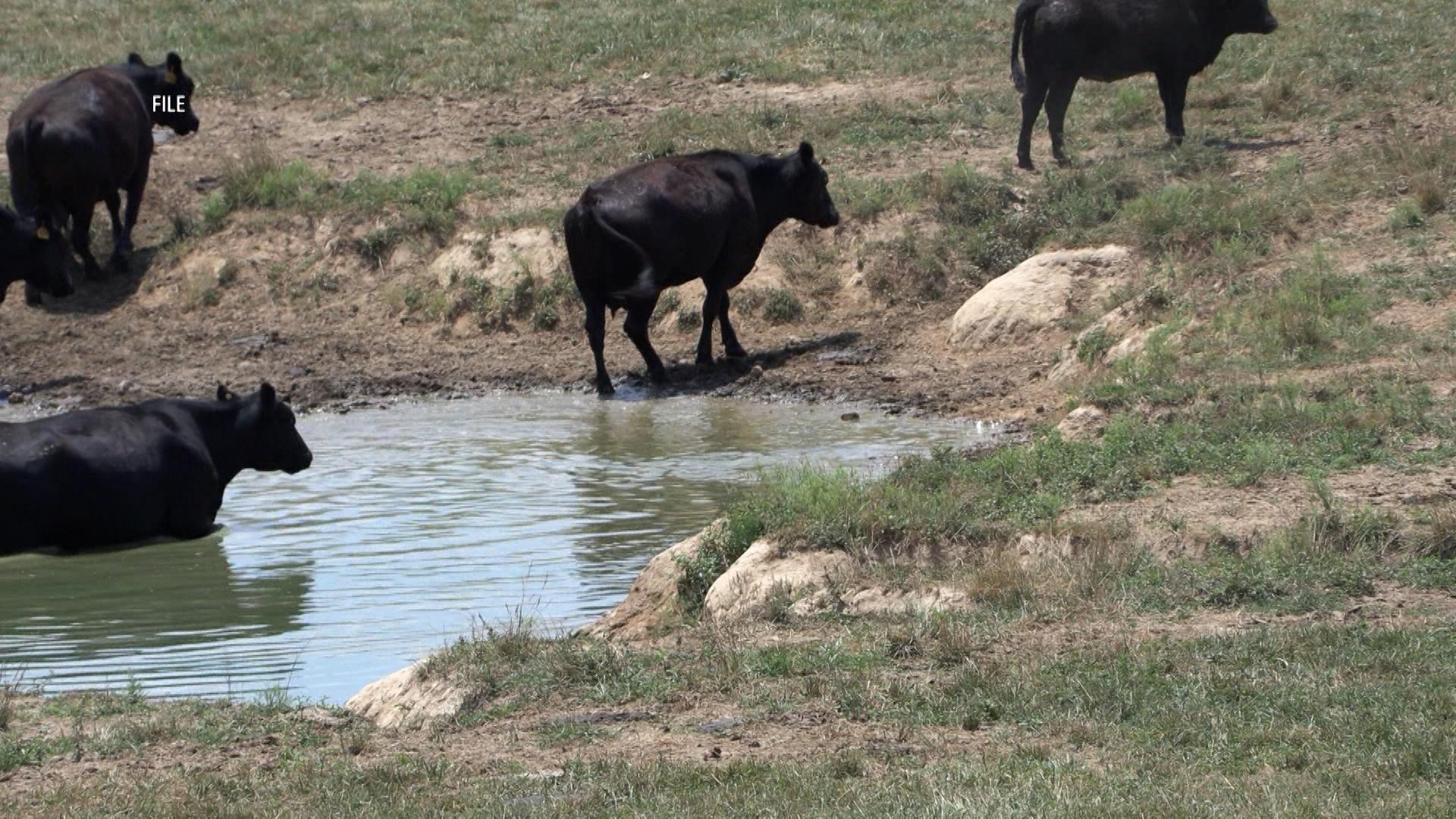 Kentucky Sees Driest August on Record
