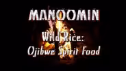 Manoomin (Wild Rice)