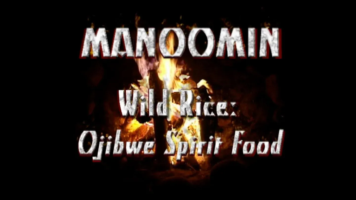Manoomin (Wild Rice)