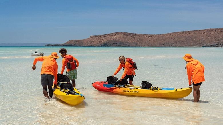 The Survivalists Image