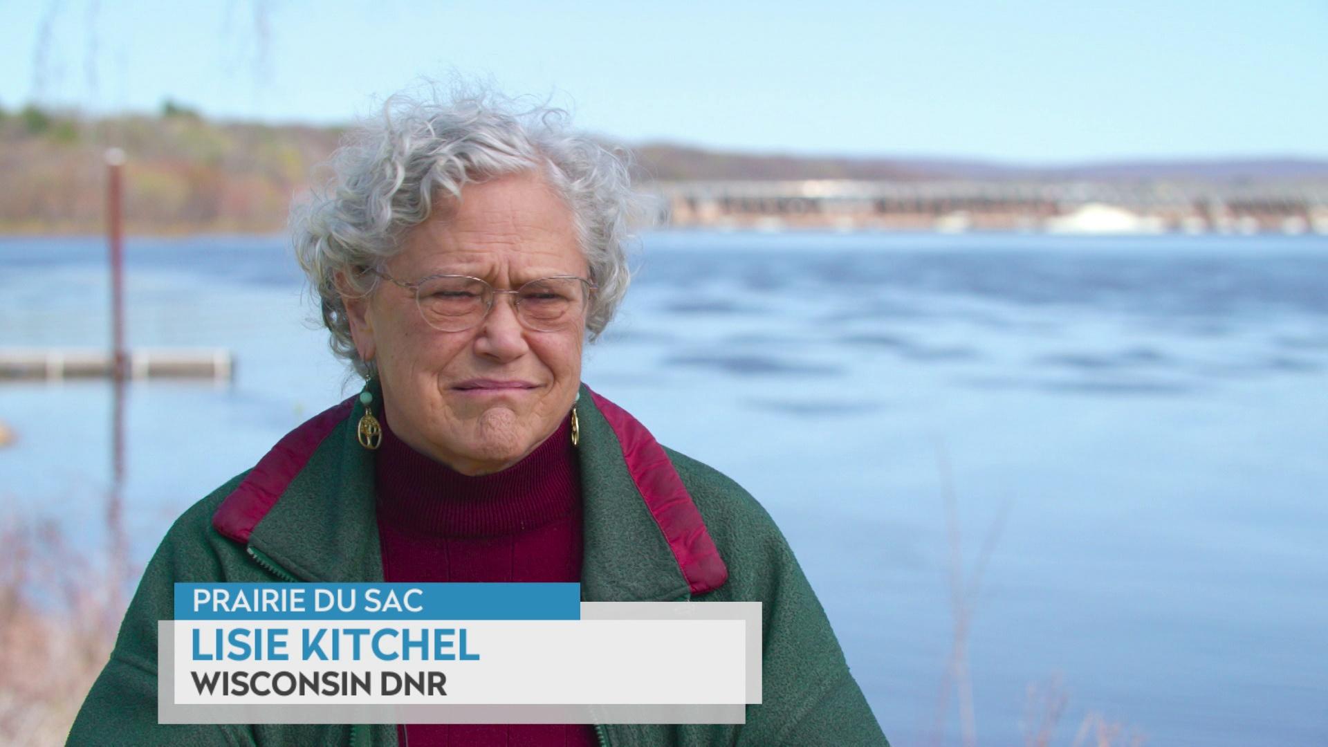 Lisie Kitchel on sensitivity of mussels in rivers to drought