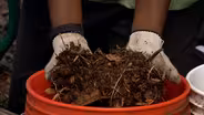 Gardening with Wood Chips