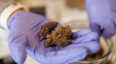 Video thumbnail: CONNECT NY The Pros and Cons of Cannabis Legalization in NY