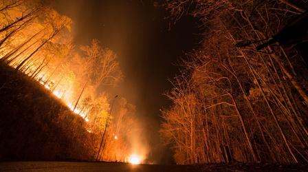 Video thumbnail: New Mexico In Focus Senator Martin Heinrich on New Mexico Wildfires