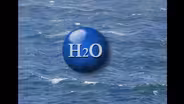 D4K: Water and its States
