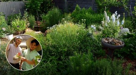 Video thumbnail: Central Texas Gardener Destination Beauty: First Yard Makeover