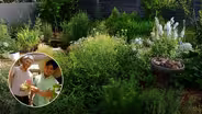 Destination Beauty: First Yard Makeover