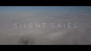 Silent Skies: The First Electric Plane Flyover   (CEFF'24)