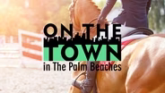 Winter Equestrian Festival