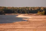 Drought disrupts Miss. River shipping and agriculture