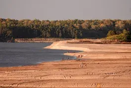 Drought disrupts Miss. River shipping and agriculture