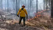 NJ’s peak wildfire season is now, officials urge caution