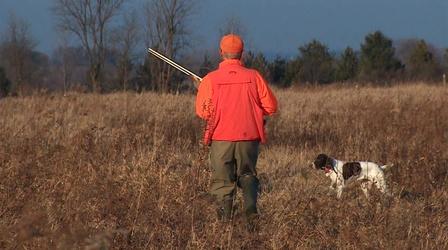 Video thumbnail: Outdoor Wisconsin Hunting Dog Training Tips/Great Lakes By Kayak #3613