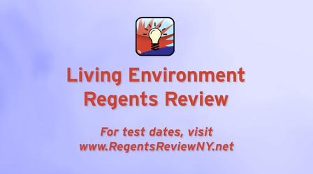 Video thumbnail: Regents Review Regents Review 2.0: Living Environment