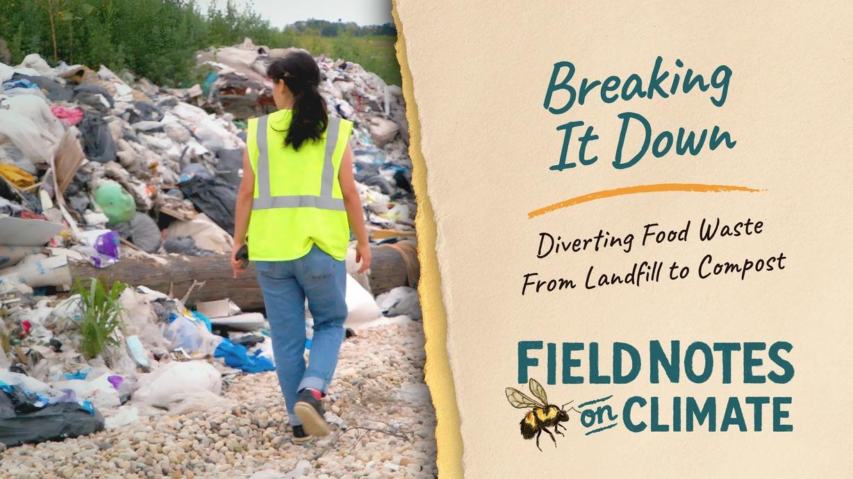 Composting to Keep Food Waste Out of Landfills | Watch Field Notes on ...