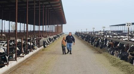 Video thumbnail: Earth Focus Converting Cattle Waste Into Renewable Energy