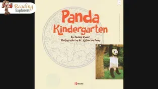 K-374: Reading Panda Kindergarten