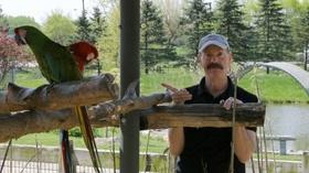 Video thumbnail: Under the Radar Michigan Cavalcade of Cool Critters