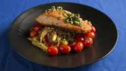 Pan Seared Salmon with Faro and Squash Sauté