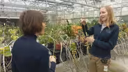 Orchids' Diversity Magnified at Chicago Botanic Garden Show