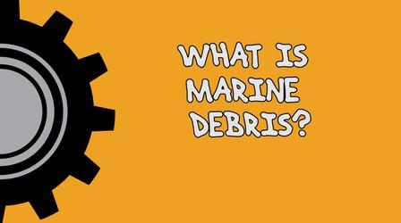Video thumbnail: WFSU Education What Is Marine Debris?