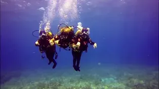 The Power of Scuba Diving for People with Disabilities