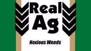 Real Ag Noxious Weeds & Plant Protection Ep711