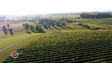Video thumbnail: Un-Wine'd Crosskeys Vineyards