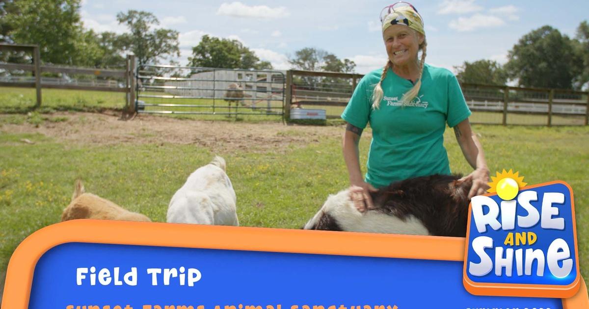 Rise and Shine Sunset Farms Field Trip Season 2022 PBS