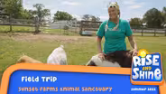 Sunset Farms Field Trip