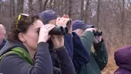 State's bald eagle and falcon populations soar