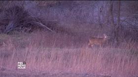 Video thumbnail: PBS NewsHour Deer hunters help combat food insecurity in Iowa