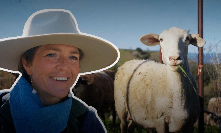 How this Shepherdess and Her Sheep are Restoring California