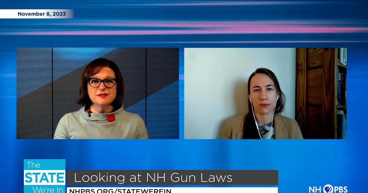 The State We're In Looking at NH Gun Laws Episode 163 PBS