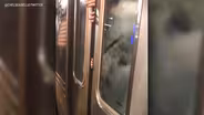 “F” TRAIN SURVIVOR EXCLUSIVE!