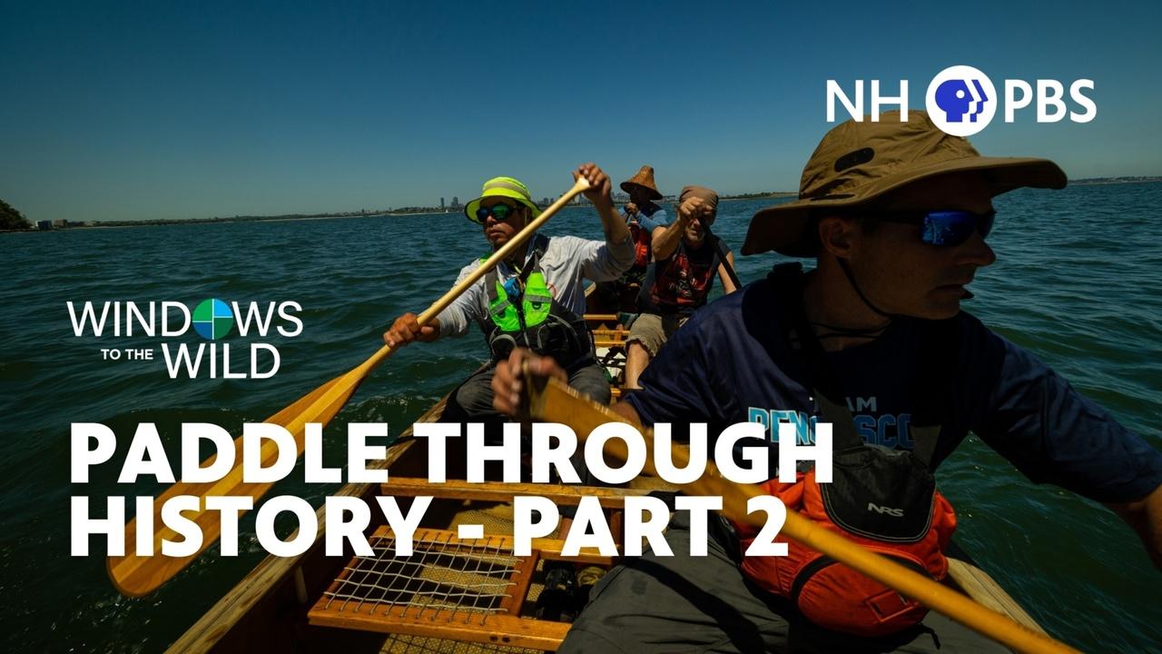 Windows to the Wild | Paddle Through History Part 2