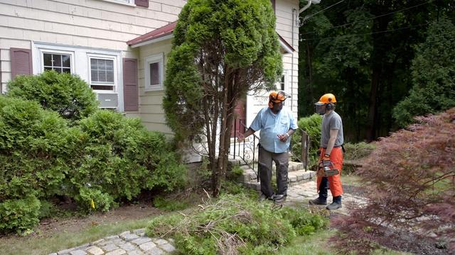 E10 | Trash Insert, Arborvitae Removal | Ask This Old House