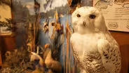 Baileys Ford Nature Center and Wildlife Exhibit