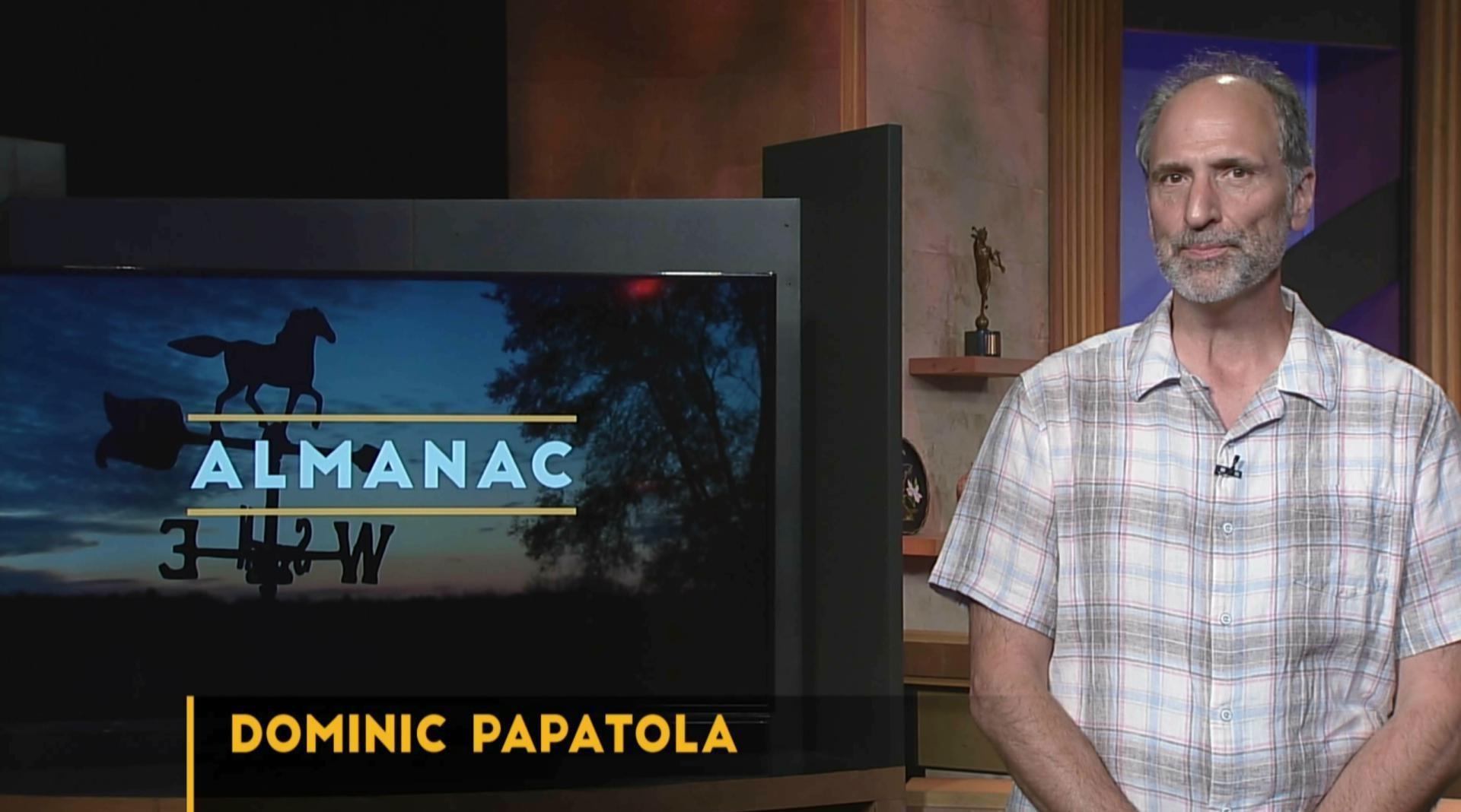 Weekly Essay | Dominic Papatola | Team Player
